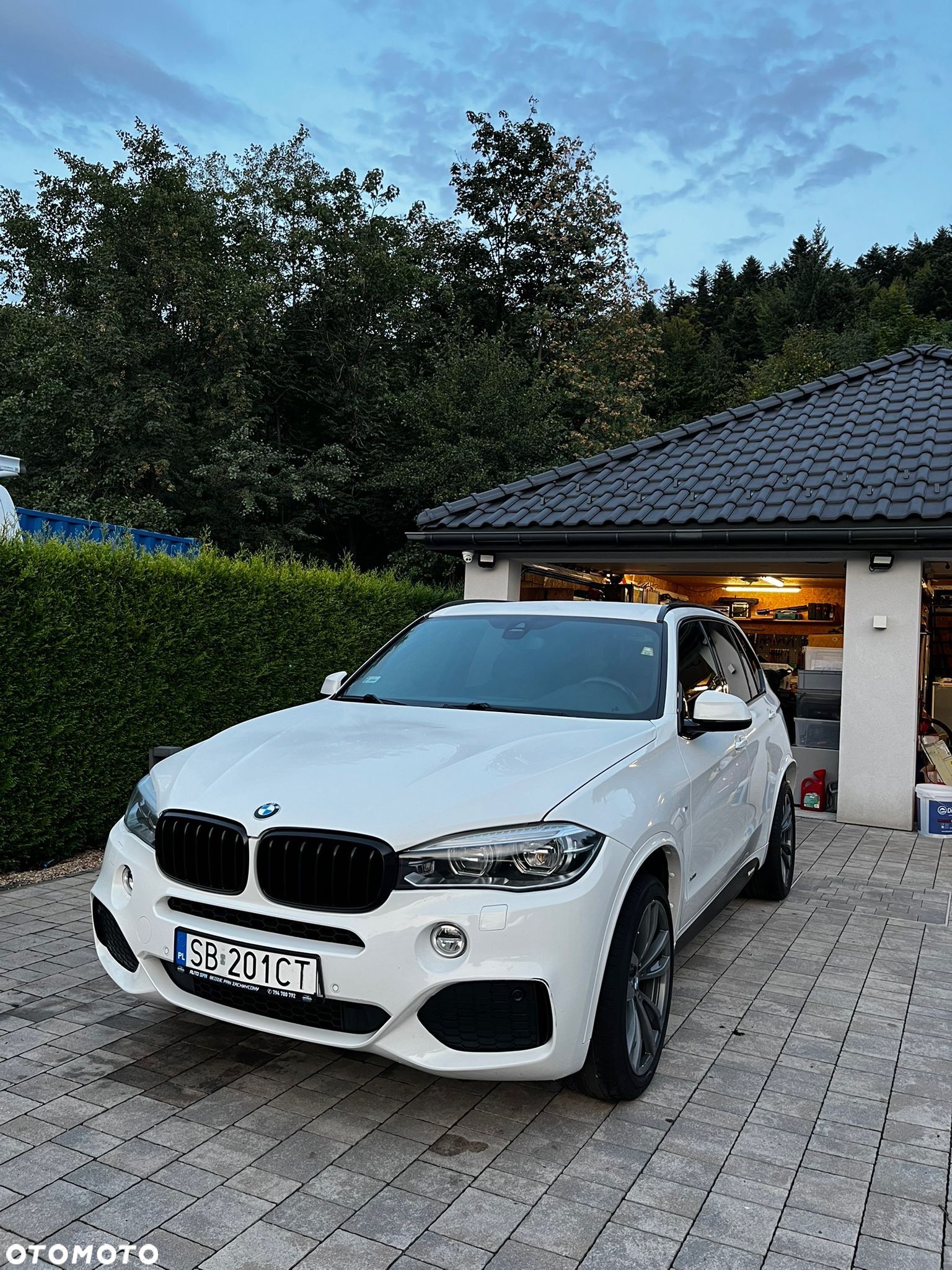 BMW X5 xDrive30d - 1