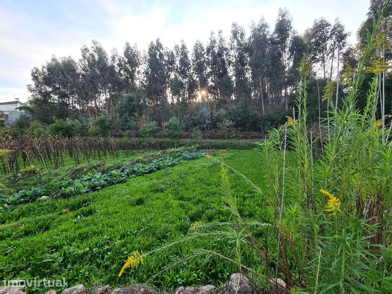 Terreno com Viabilidade de Construção de Moradias - Grande imagem: 3/15