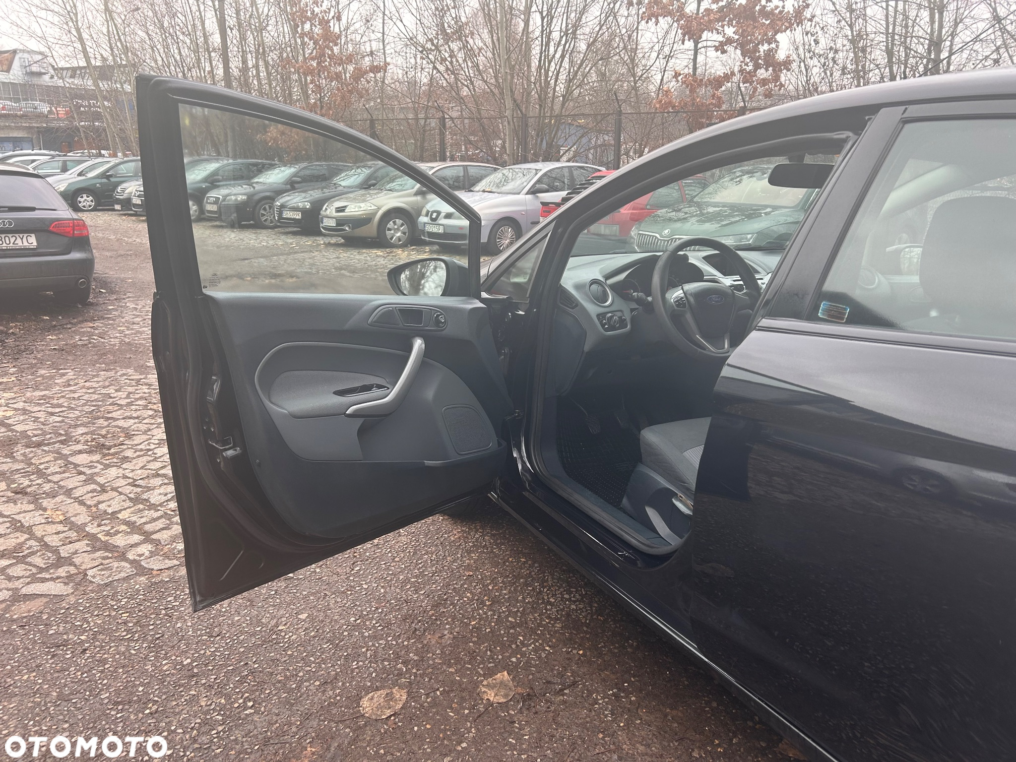 Ford Fiesta 1.4 TDCi Platinium X - 8