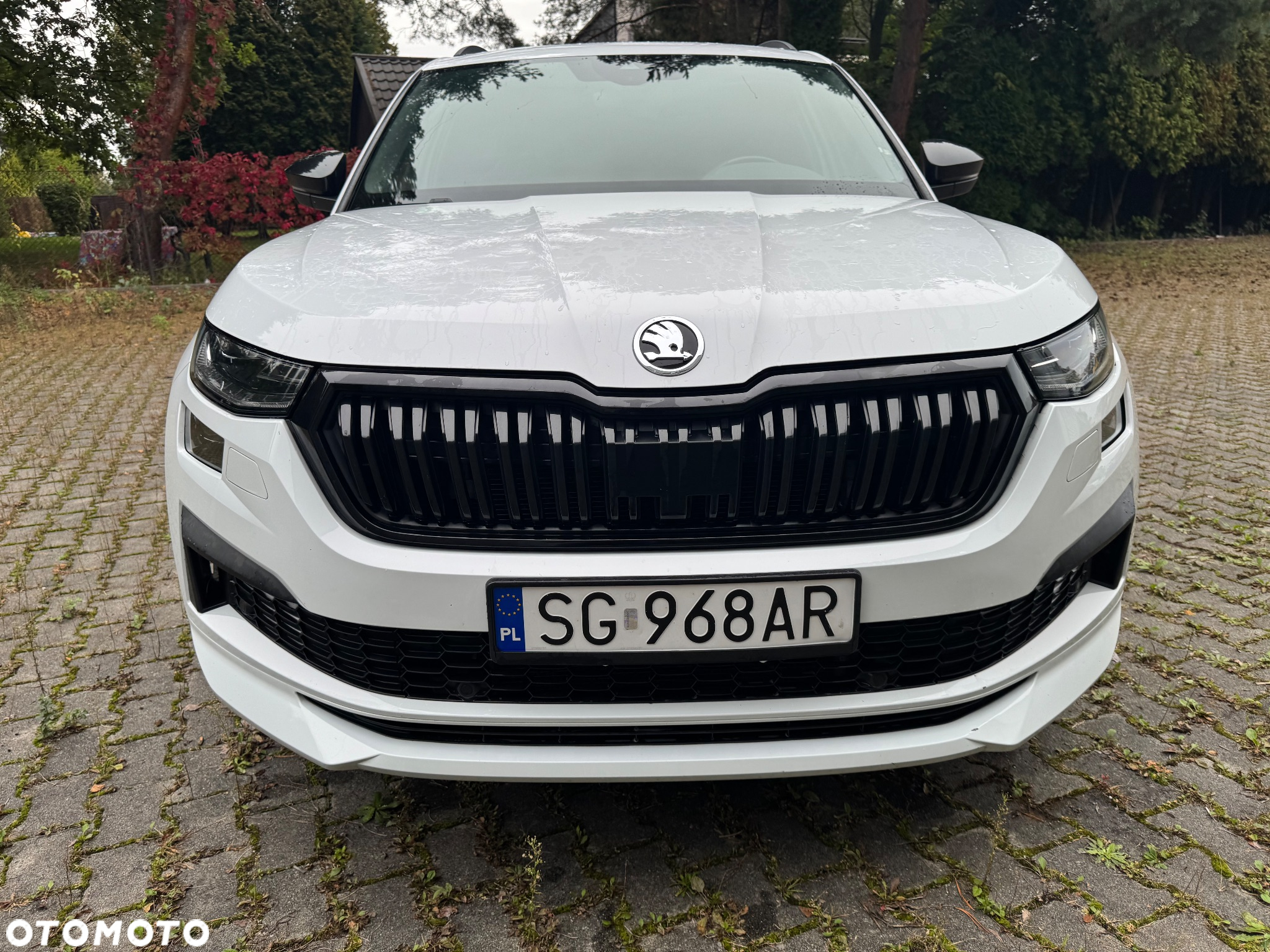 Skoda Kodiaq 2.0 TDI 4x4 Sportline DSG - 26