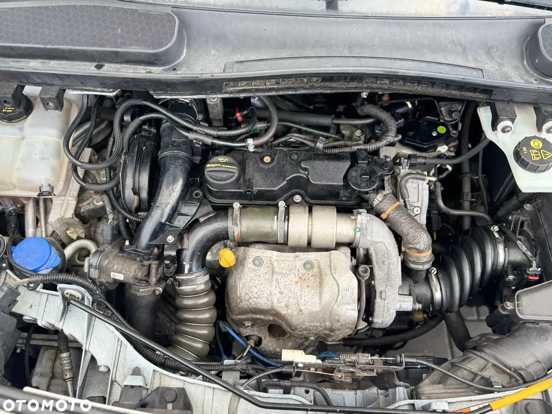 Ford TRANIST CONNECT - 10