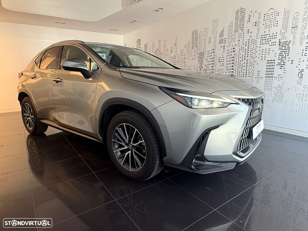 Lexus NX 450h+ Executive Plus - 13