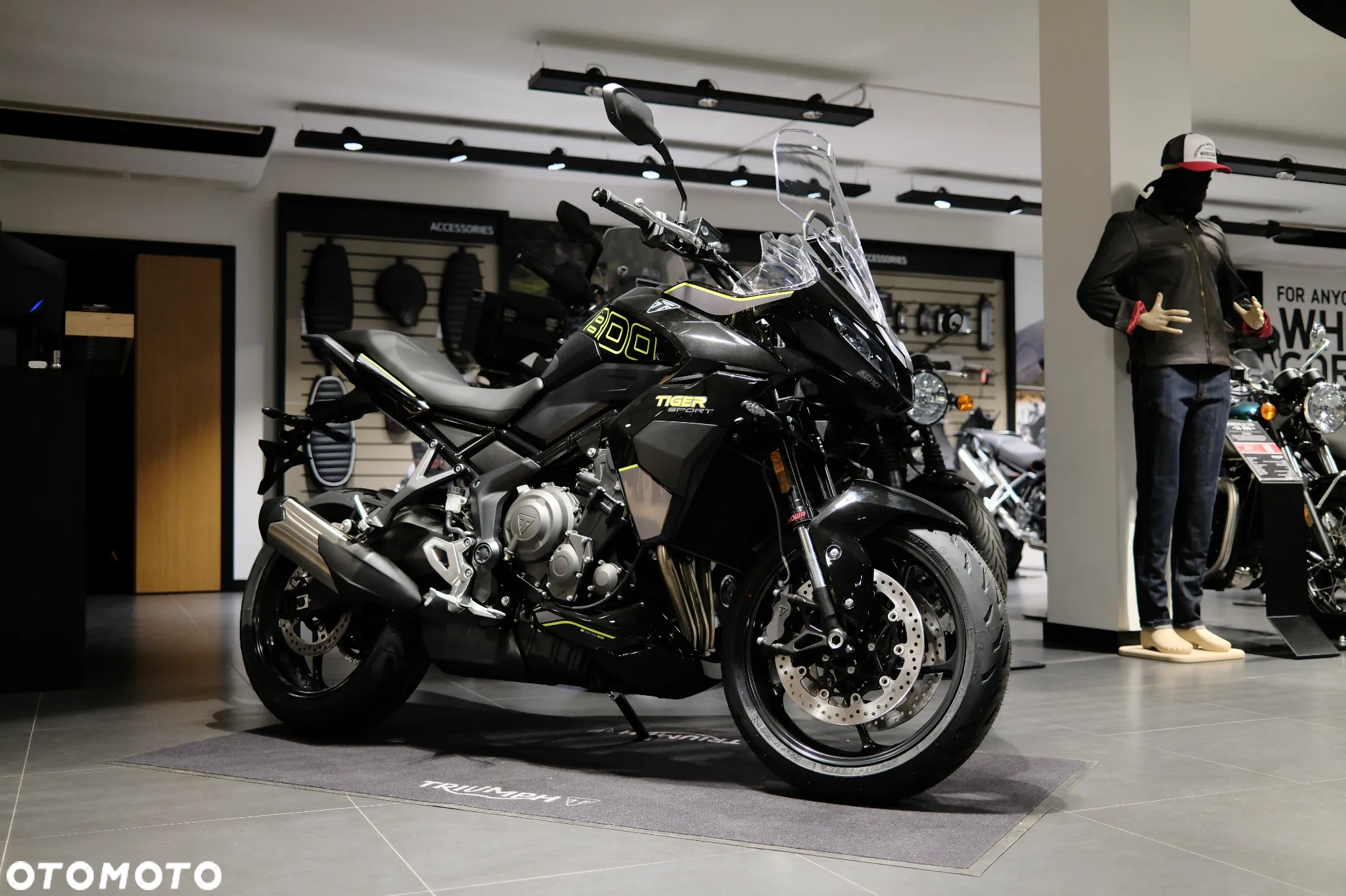 Triumph Tiger - 4