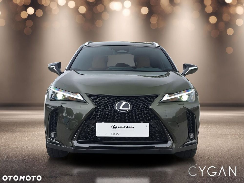 Lexus UX 300h F Sport Design - 8