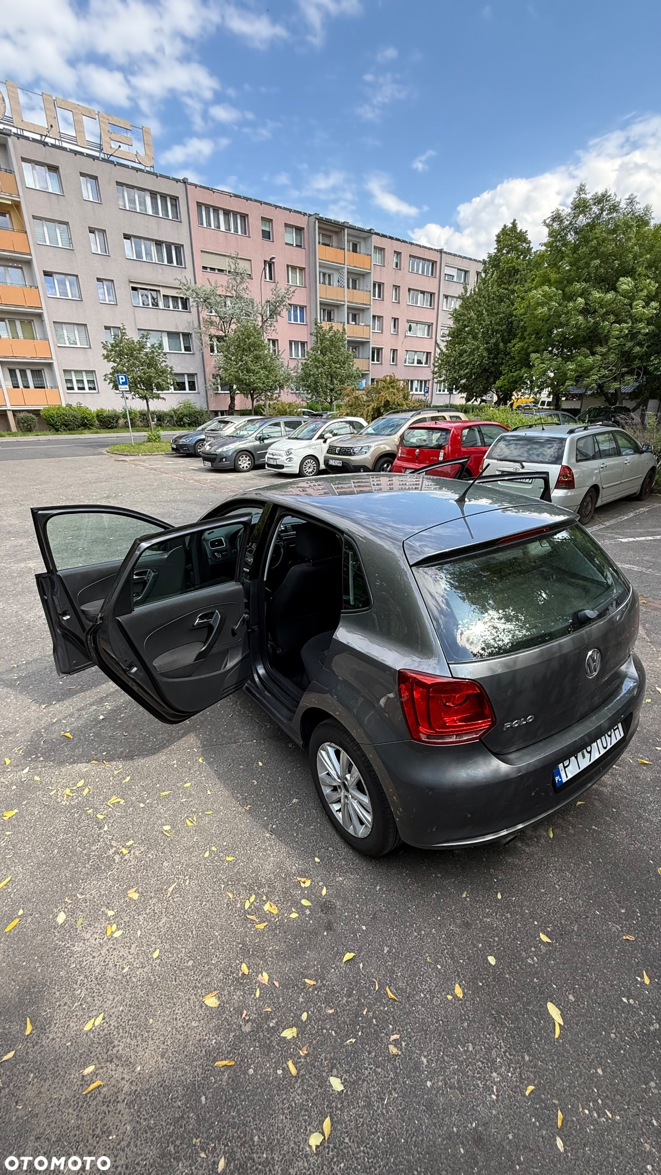 Volkswagen Polo - 7