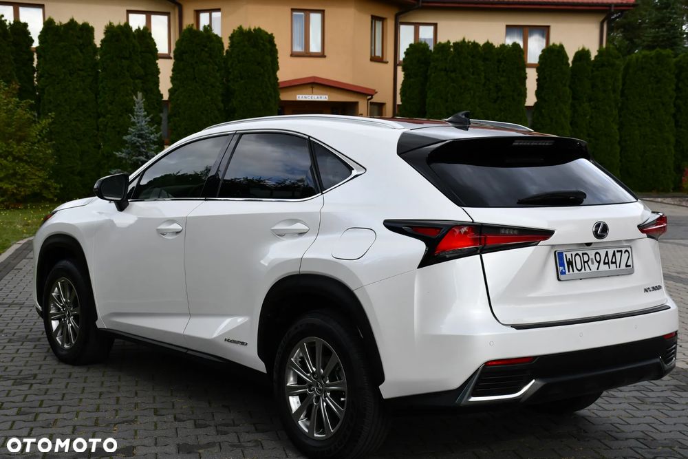 Lexus NX - 20