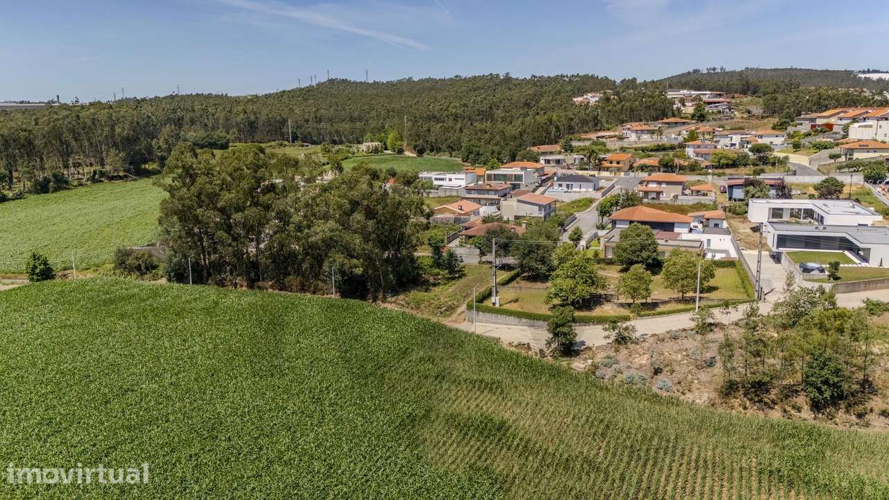 Terreno Fradelos (Sapugal) - Grande imagem: 3/11