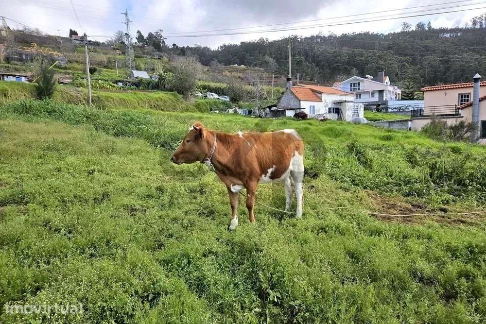 Um terreno em um ambiente natural, com vistas deslumbrantes sobre as m - Grande imagem: 4/9
