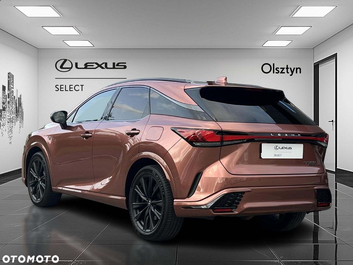 Lexus RX - 6