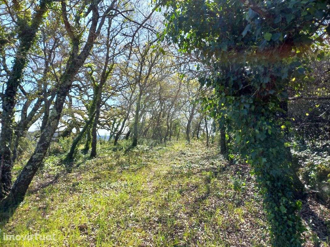 Moradia T3 para venda - Grande imagem: 2/10