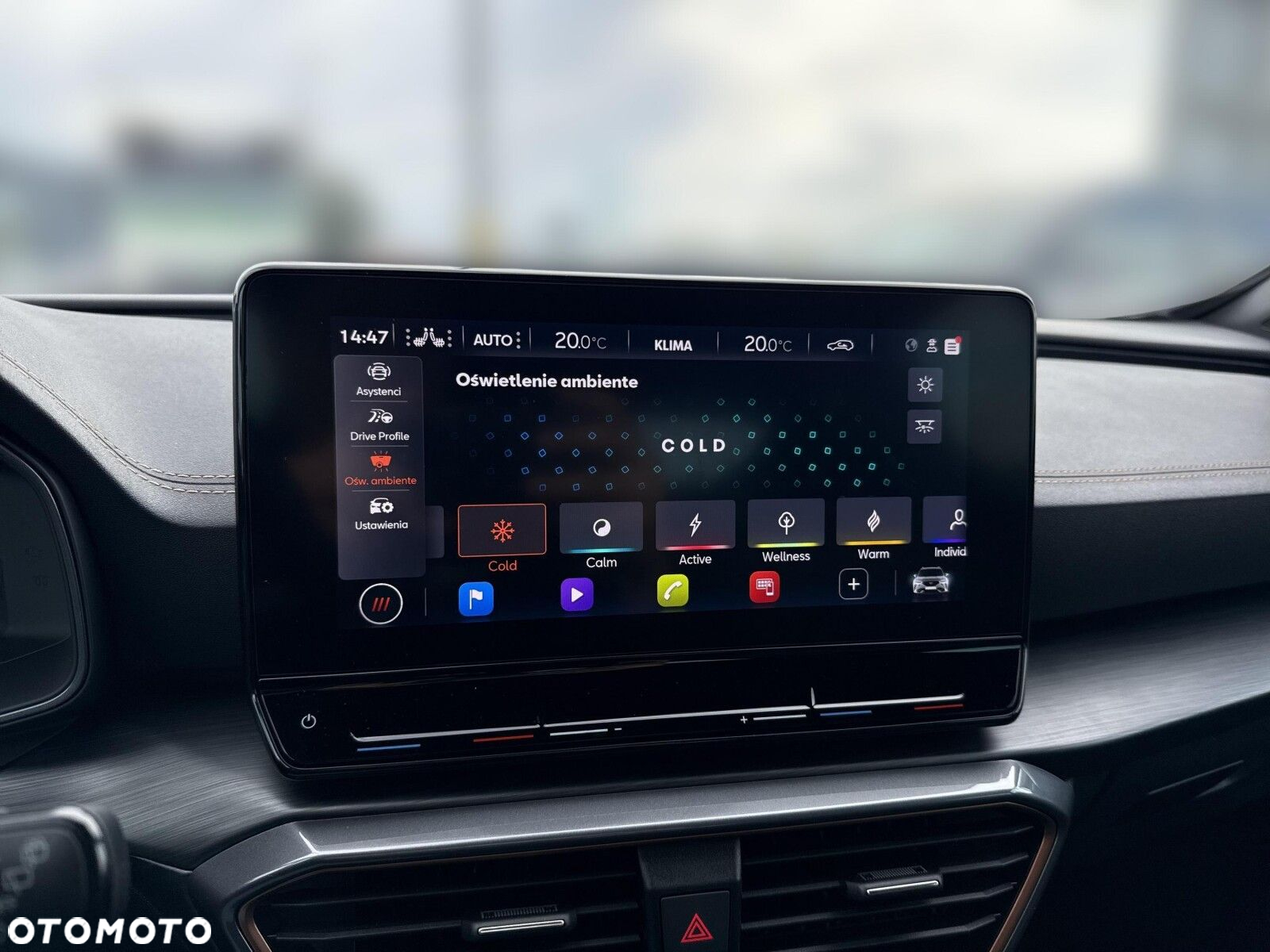 Cupra Formentor - 21
