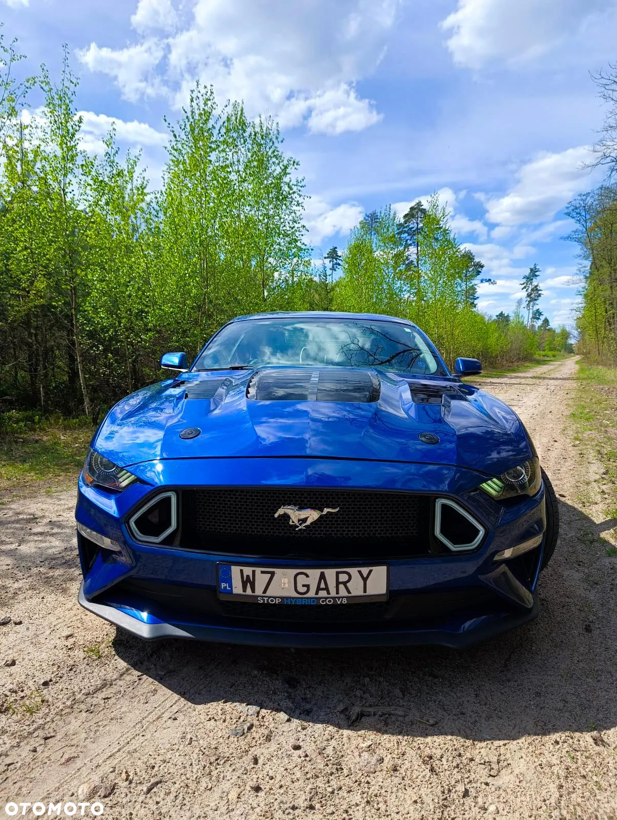 Ford Mustang Fastback 5.0 Ti-VCT V8 MACH1 - 4
