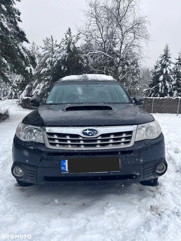 Subaru Forester - 5