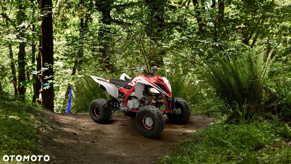 Yamaha Raptor - 8