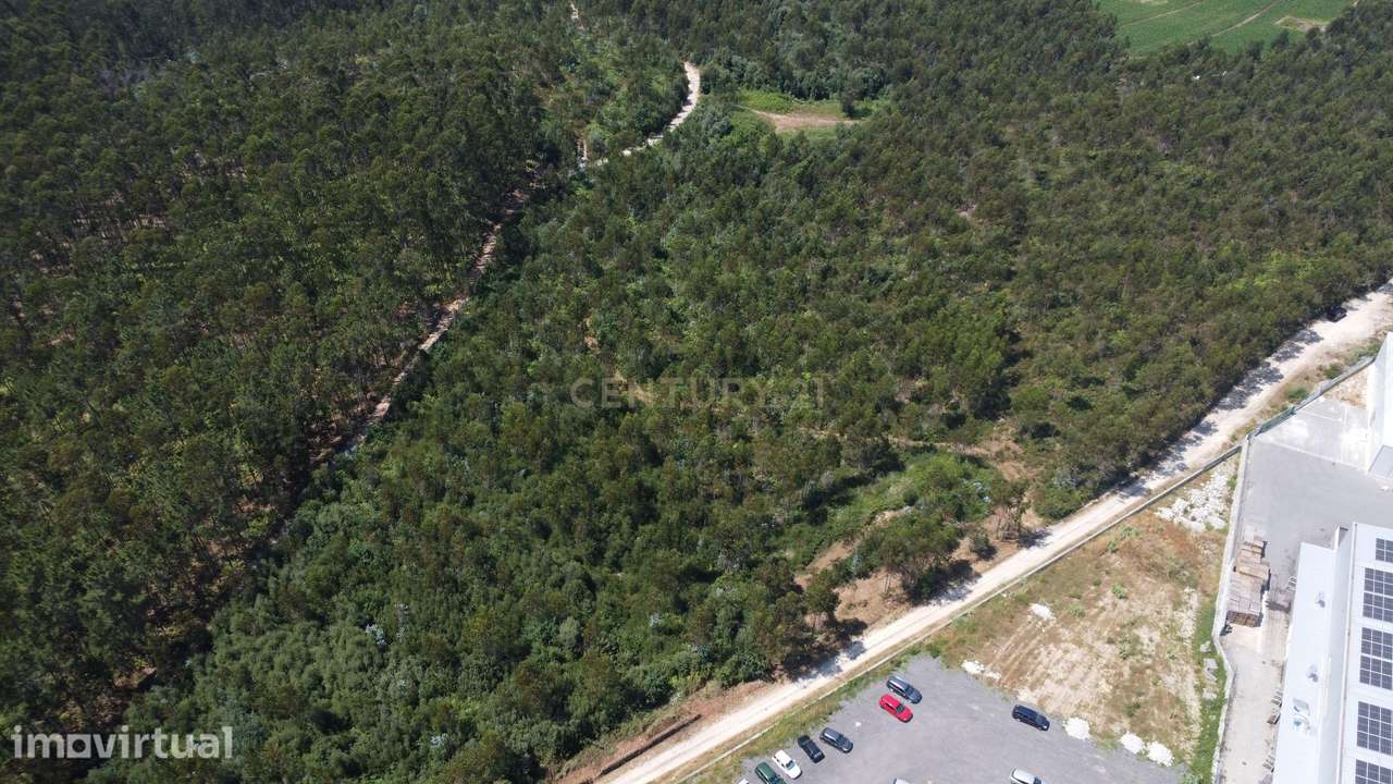 Terreno Industrial com 40.445 m² e PIP Aprovado - Grande imagem: 5/11