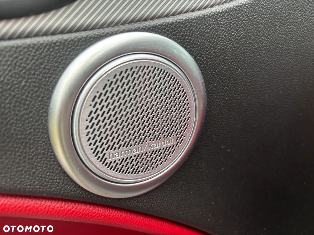 Alfa Romeo Stelvio 2.0 Turbo Super Q4 - 17