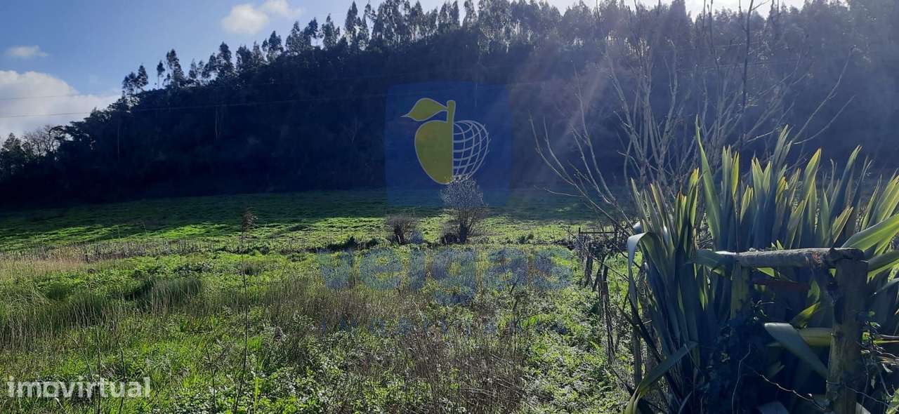Terreno com 1.500m2 e com possibilidade de construção, a 5 min das Cal - Grande imagem: 4/15