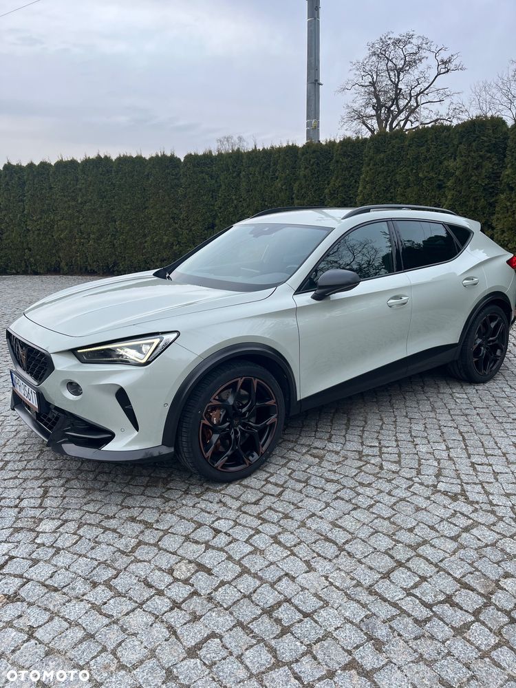 Cupra Formentor 2.5 TSI 4Drive VZ5 Taiga Grey DSG - 2