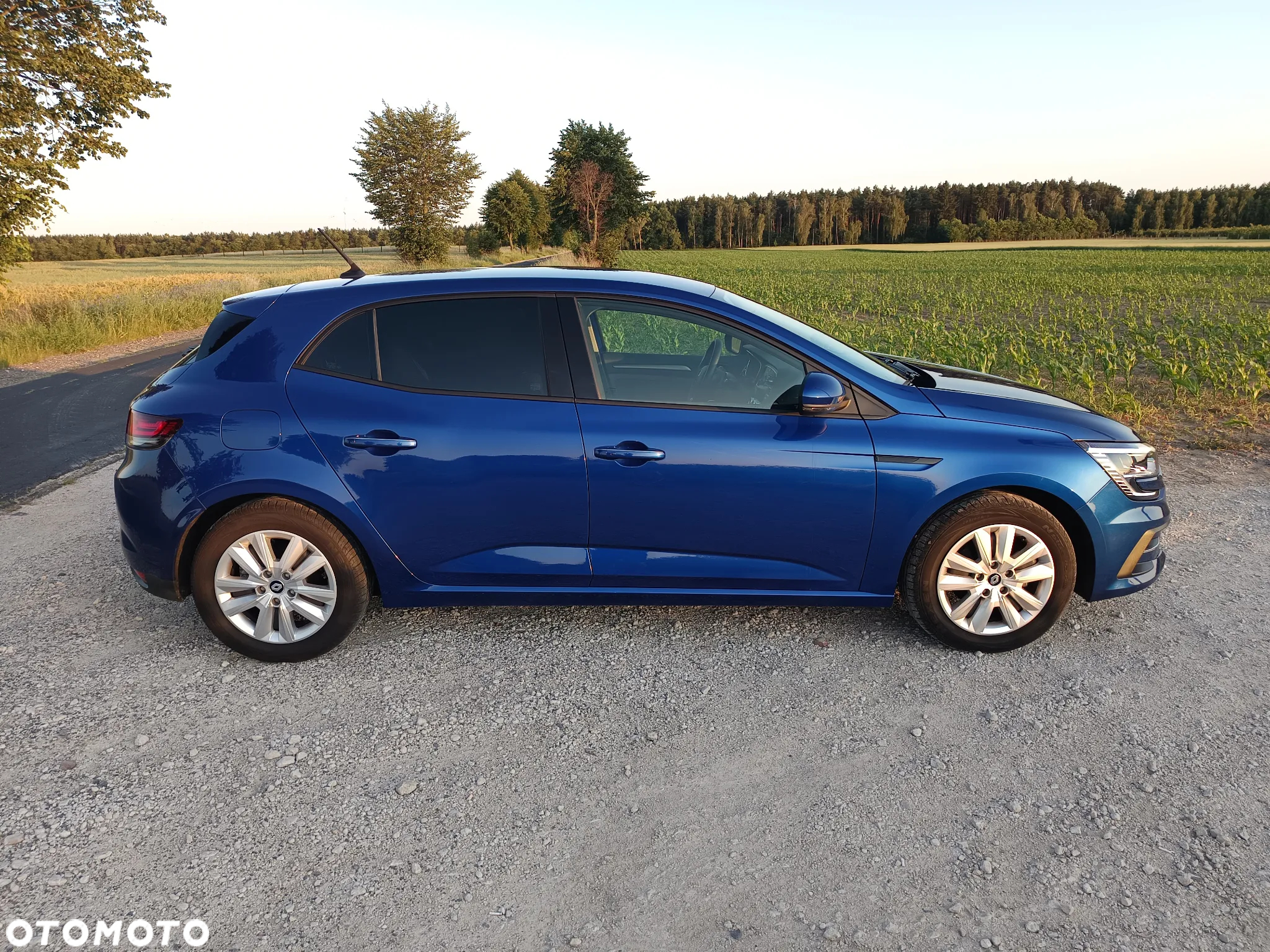 Renault Megane - 10