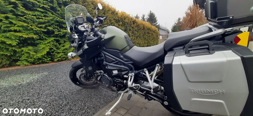 Triumph Tiger - 4