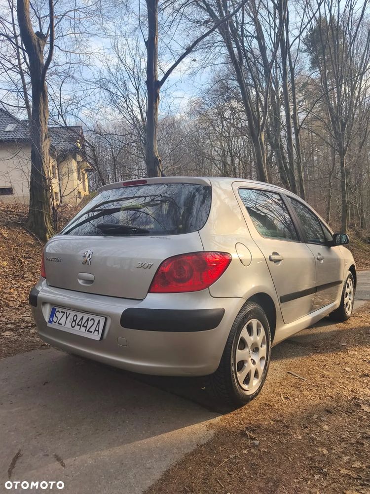 Peugeot 307 - 9