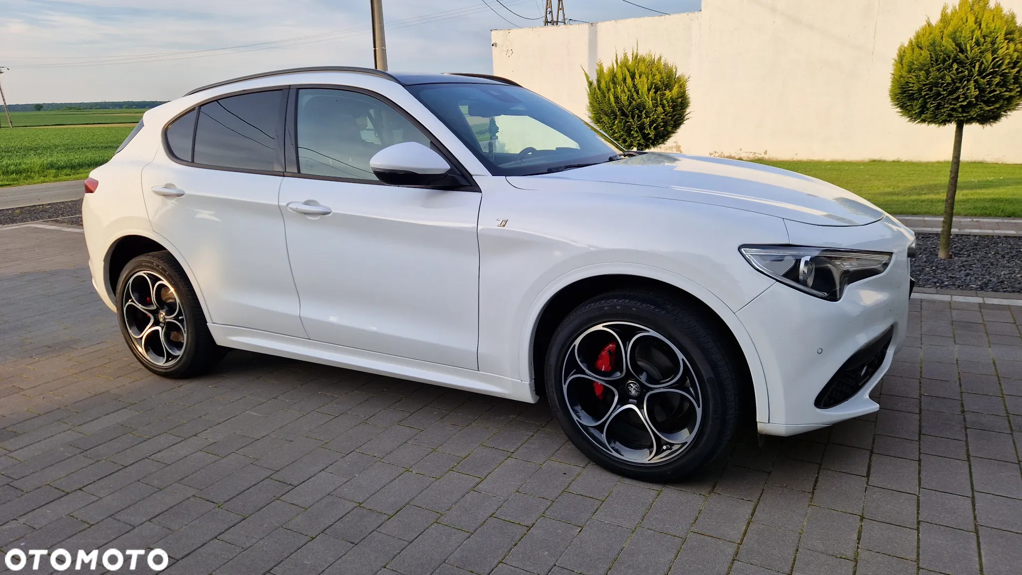 Alfa Romeo Stelvio 2.0 Turbo TI Q4 - 20