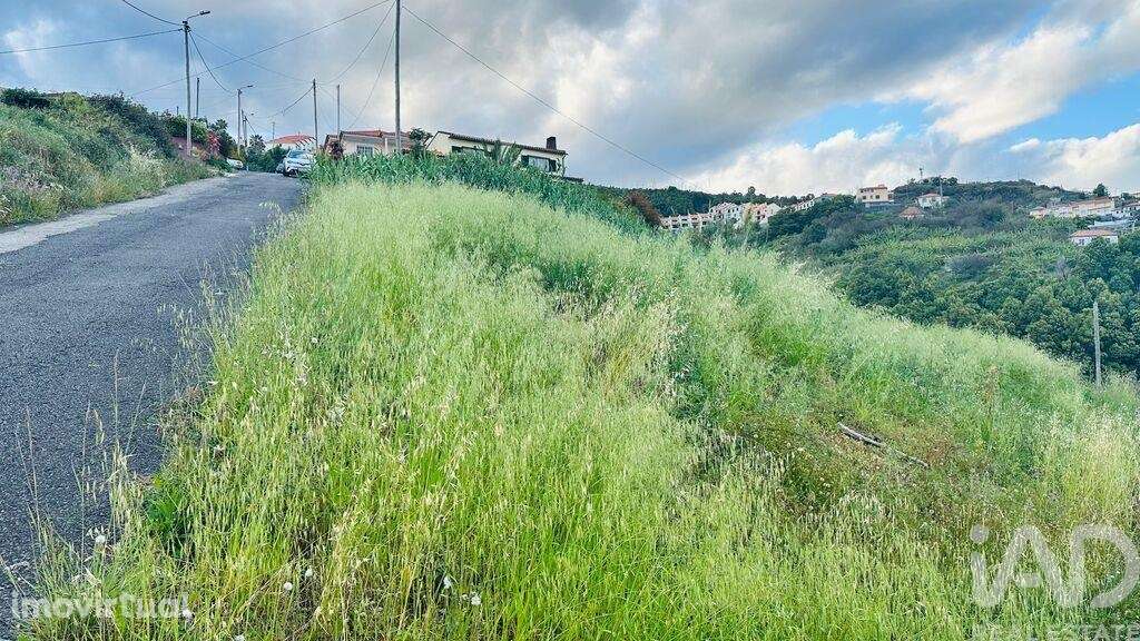 Terreno para construção em Gaula - Grande imagem: 4/13