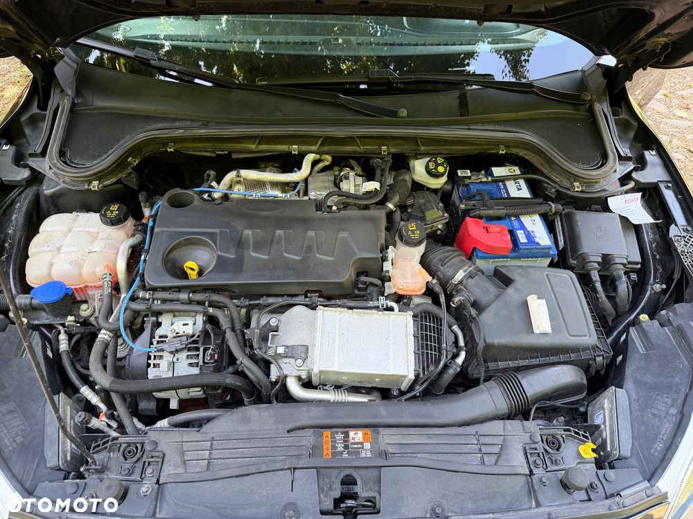 Ford Focus - 15