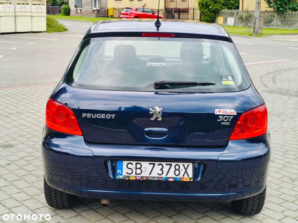 Peugeot 307 HDi 90 Grand Filou Cool - 16