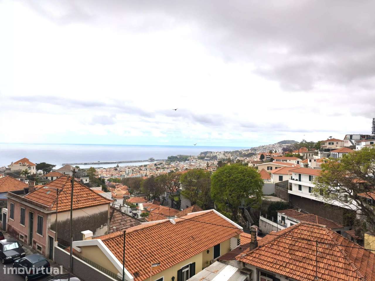 Palacete Histórico de Charme Único no Funchal - Grande imagem: 3/45