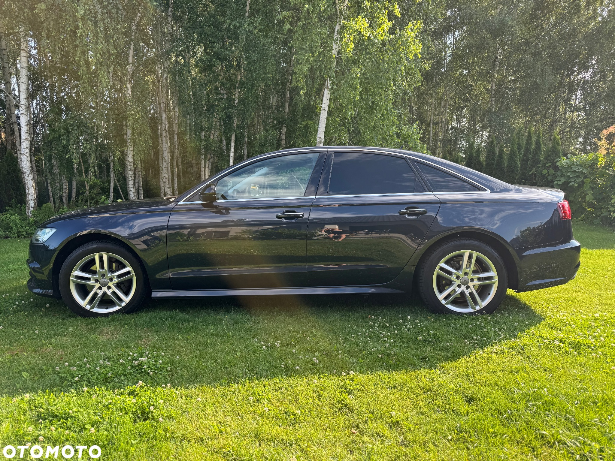 Audi A6 2.0 TDI ultra S tronic - 2