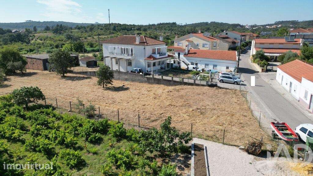 Terreno para construção em Avelar - Grande imagem: 5/22