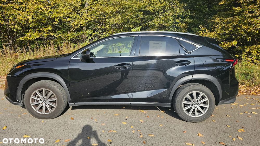 Lexus NX 300 Elegance Optimum AWD - 7