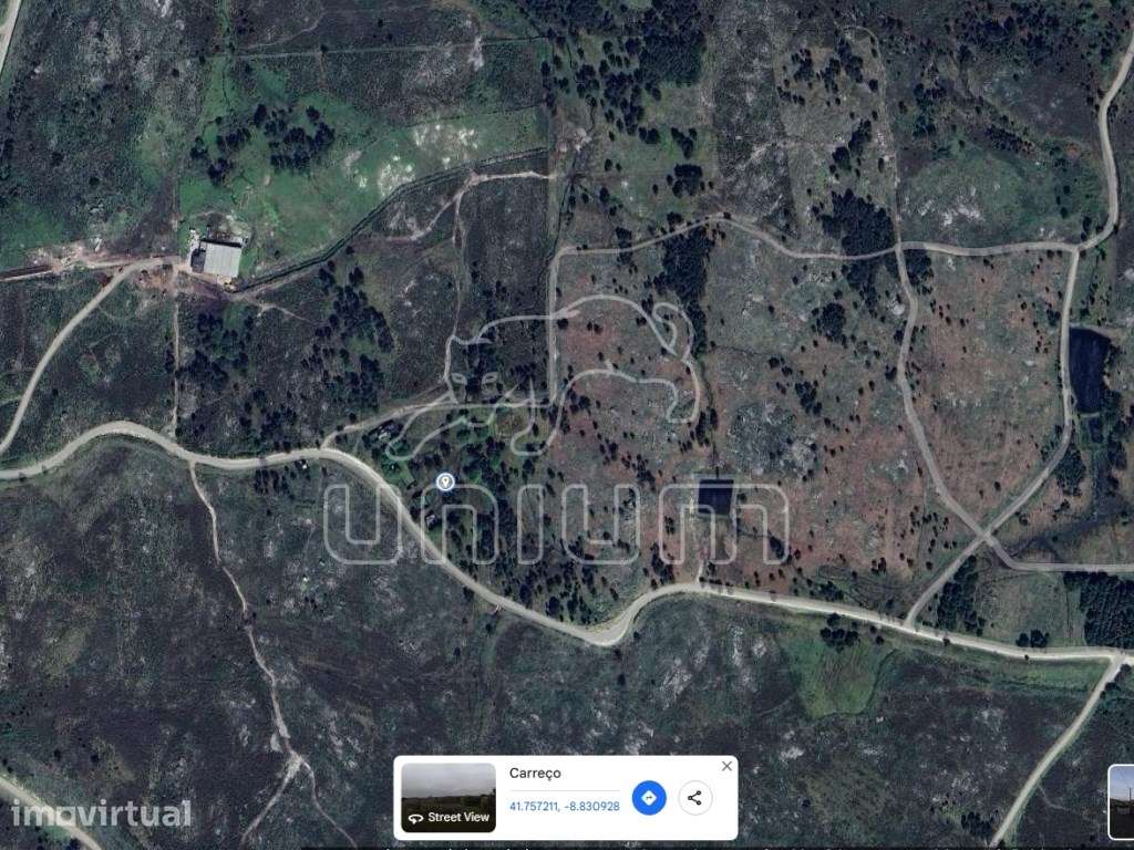 Terreno em São Mamede - Grande imagem: 2/5