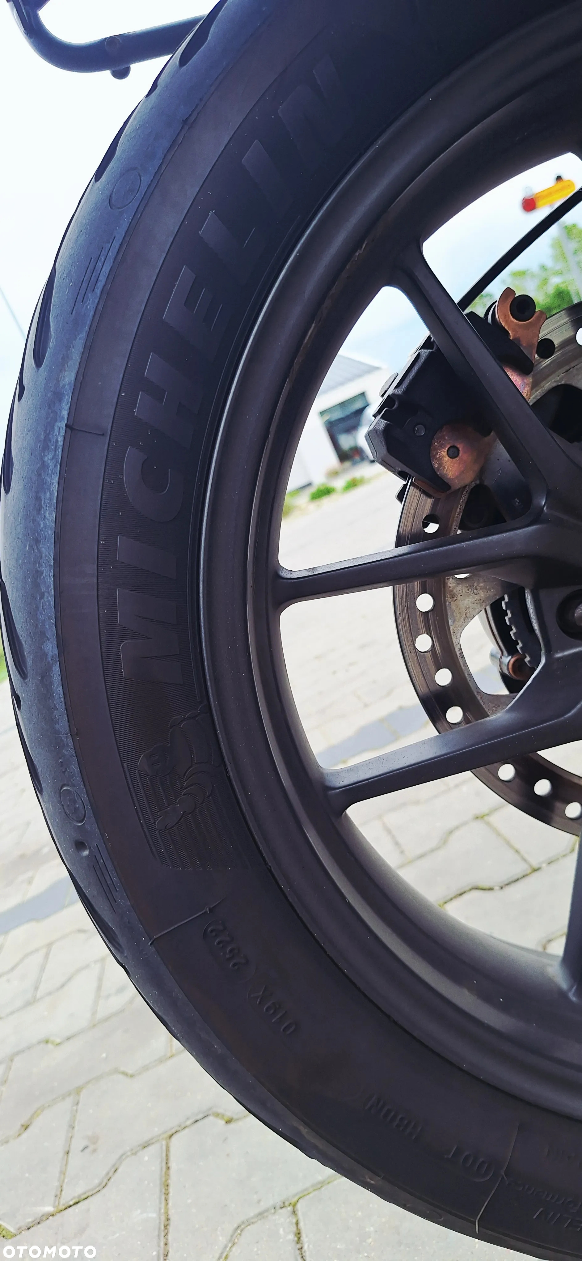 Triumph Tiger - 16