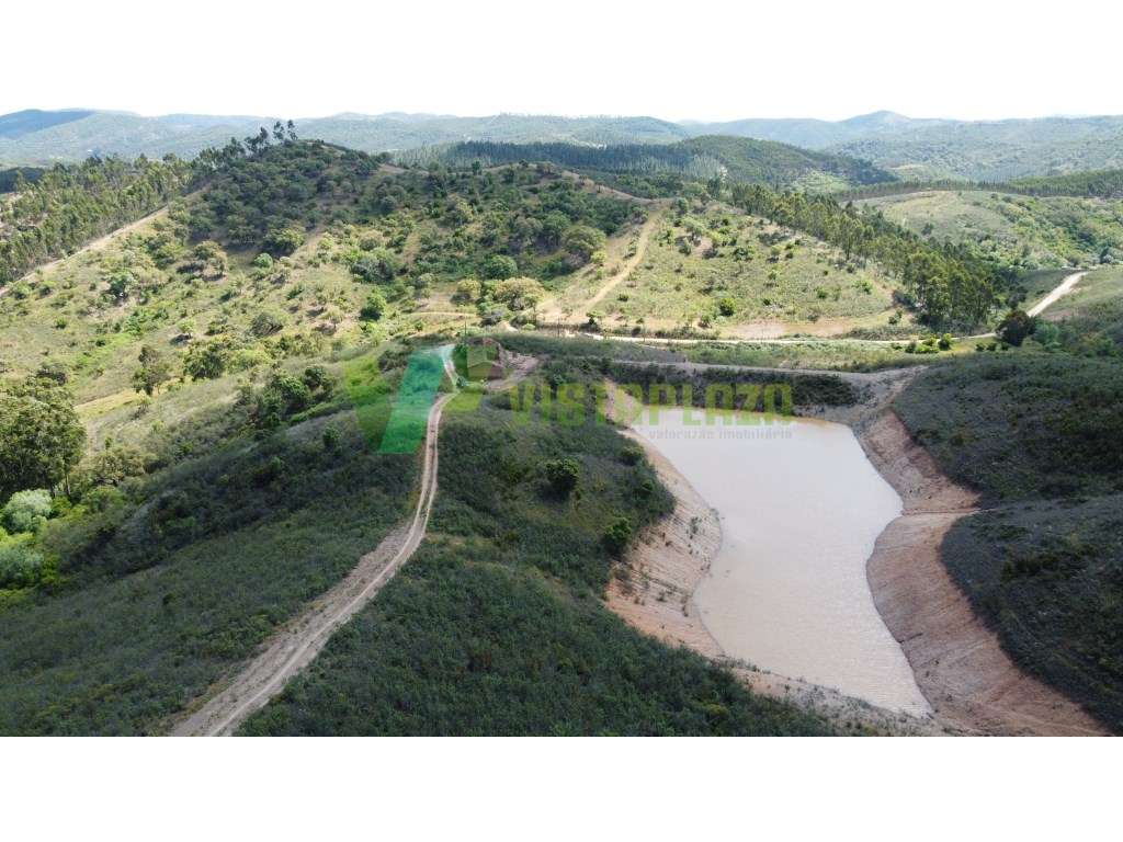 Magnífica Herdade de 57 Hectares à Venda - São Bartolomeu de Messines - Grande imagem: 5/26