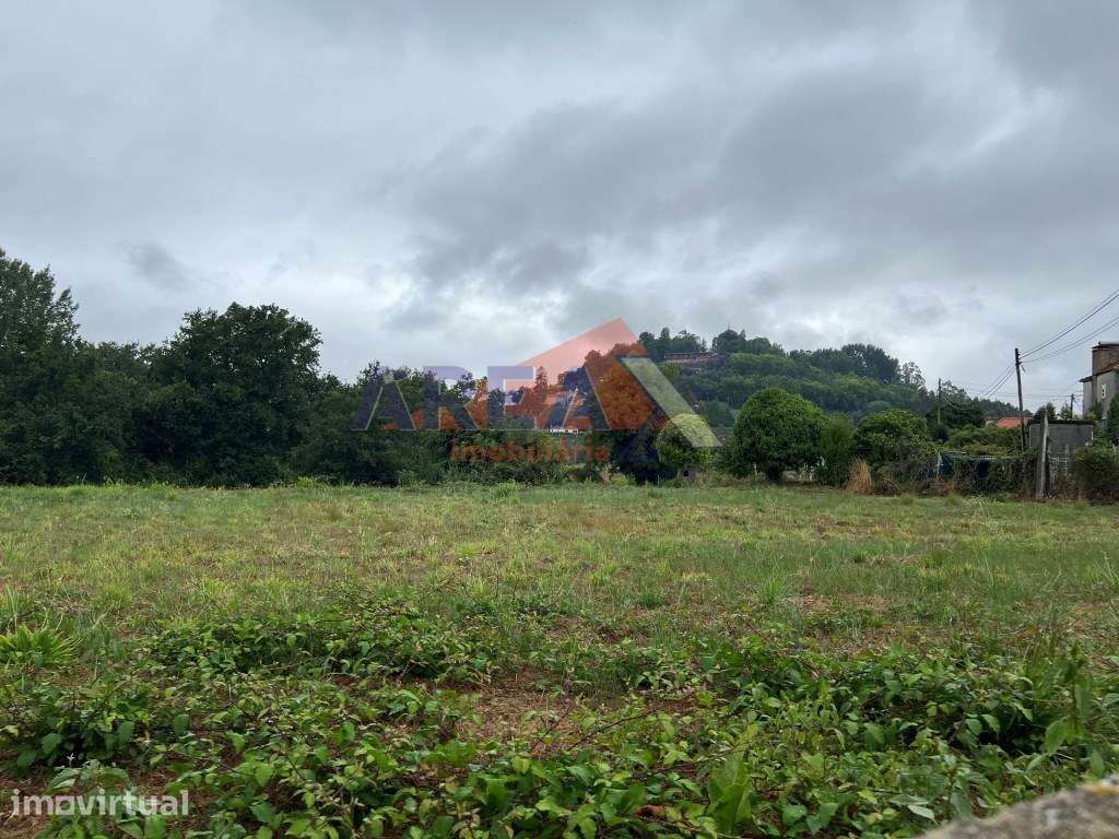 Terreno com 3.900m2, perto de Oliveira de Azeméis - Grande imagem: 3/5