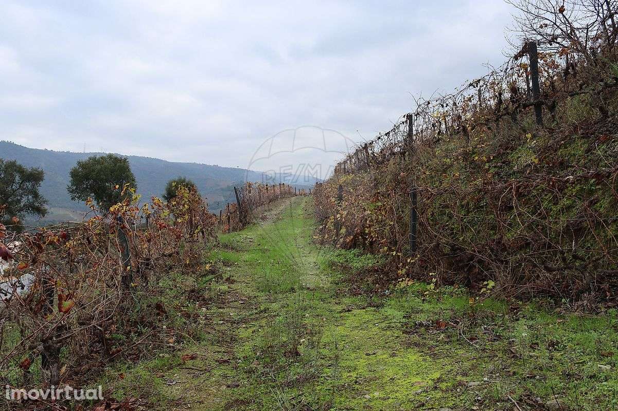 Terreno  para venda - Grande imagem: 2/11