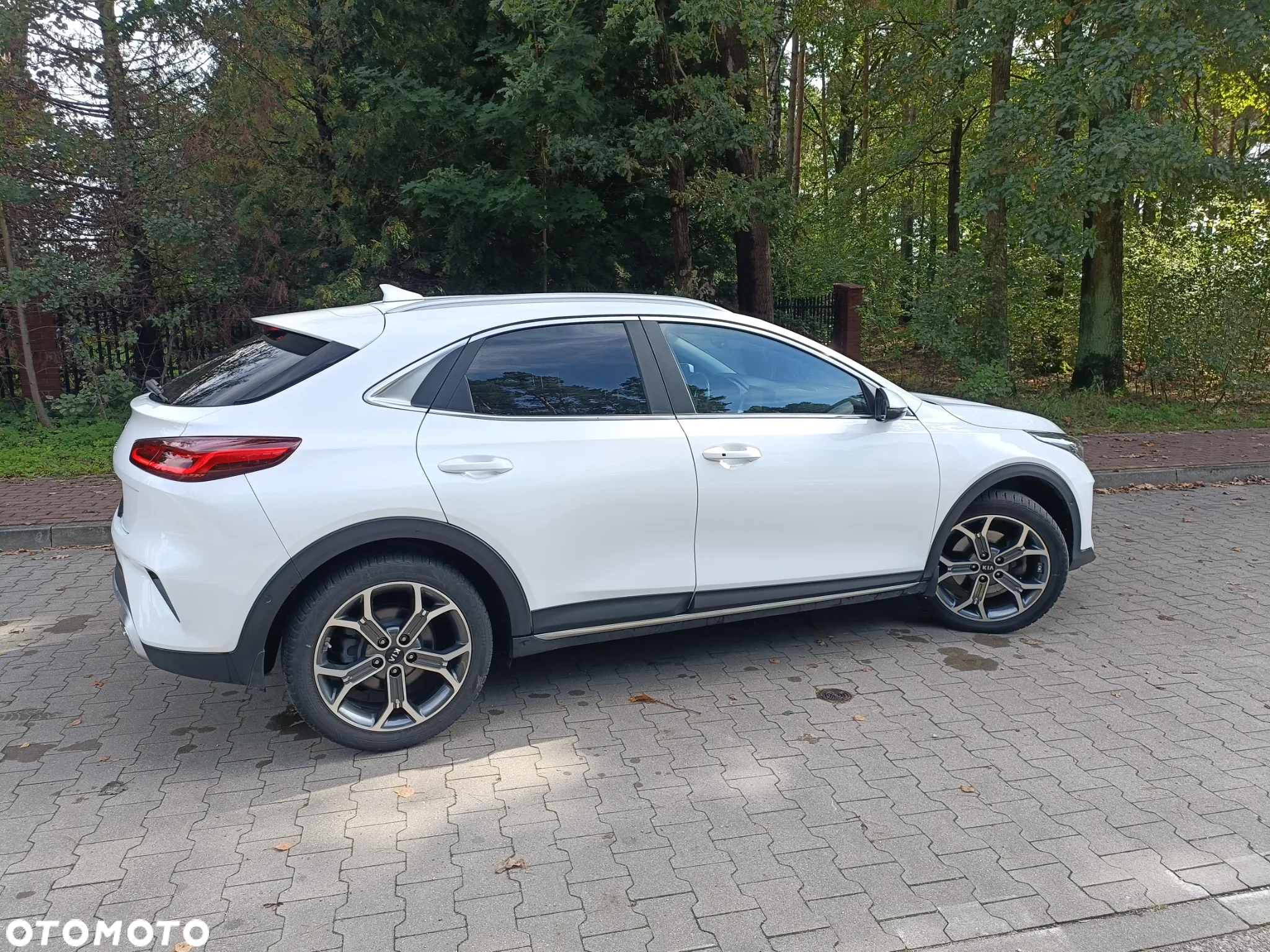 Kia XCeed 1.6 GDI PHEV XL DCT - 6