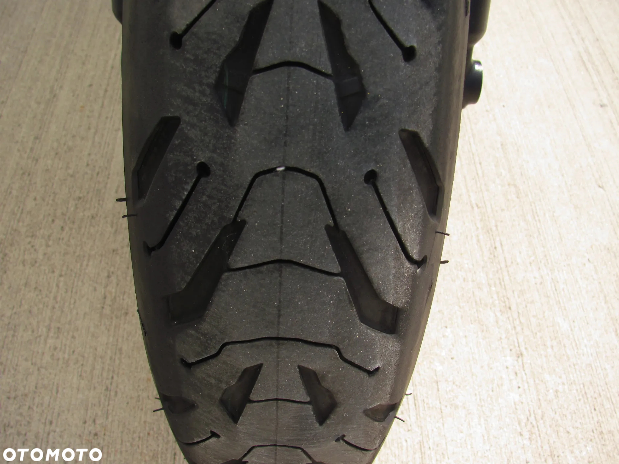 Triumph Trophy - 33
