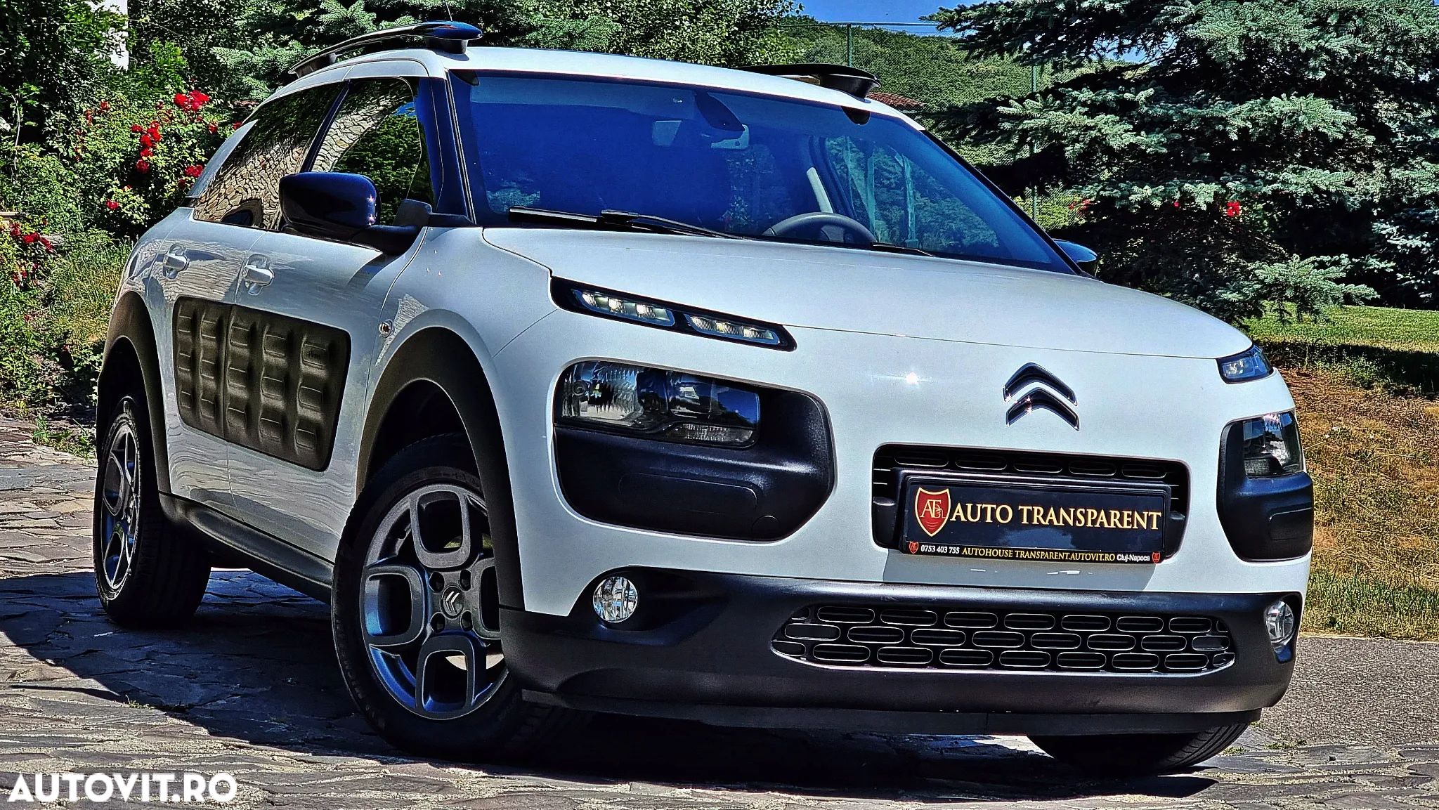 Citroën C4 Cactus Pure Tech 110 Stop&Start EAT6 Shine - 1