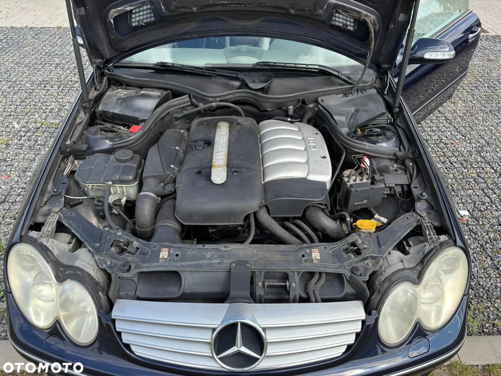 Mercedes-Benz CLK - 18