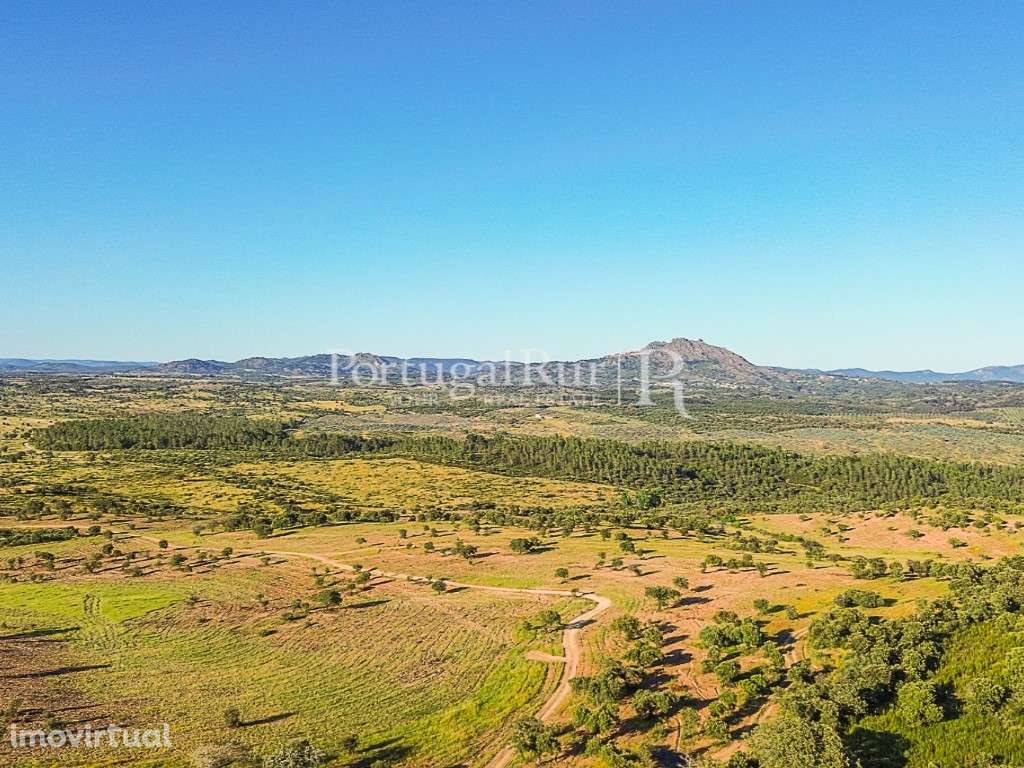 Quinta de 9,4 hectares em Medelim - Grande imagem: 2/21