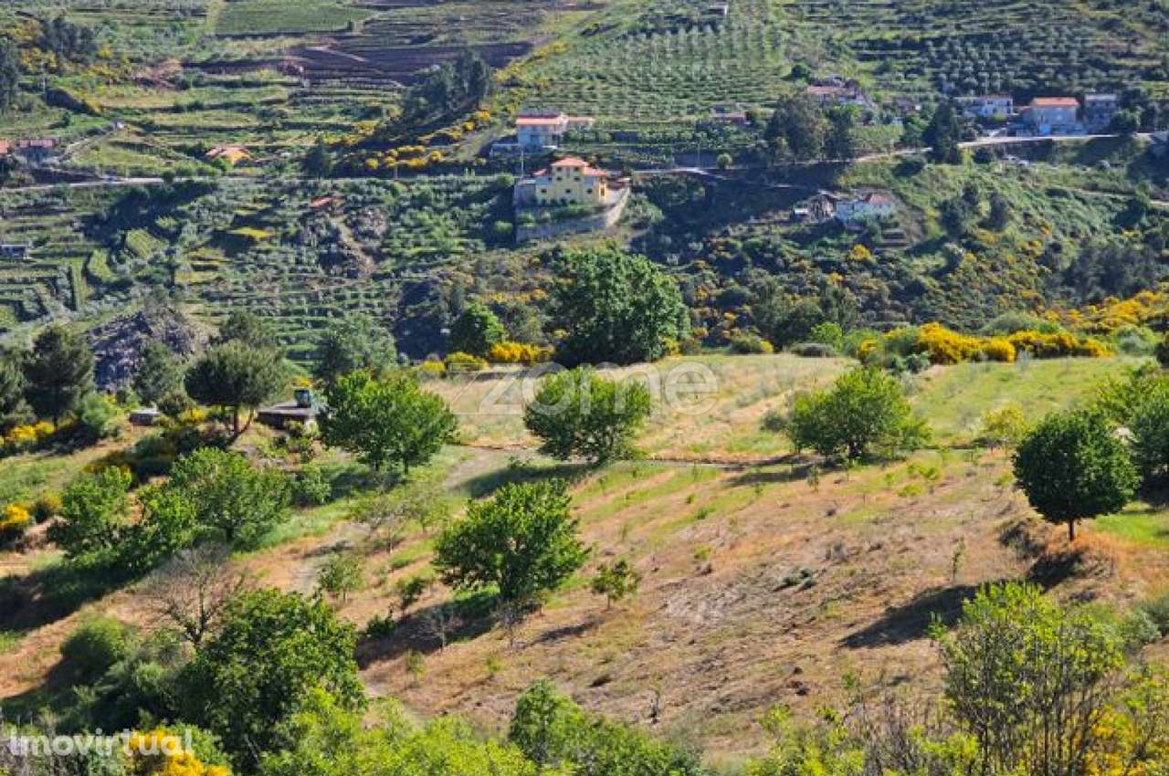 Terreno com 6 hectares - Grande imagem: 5/22