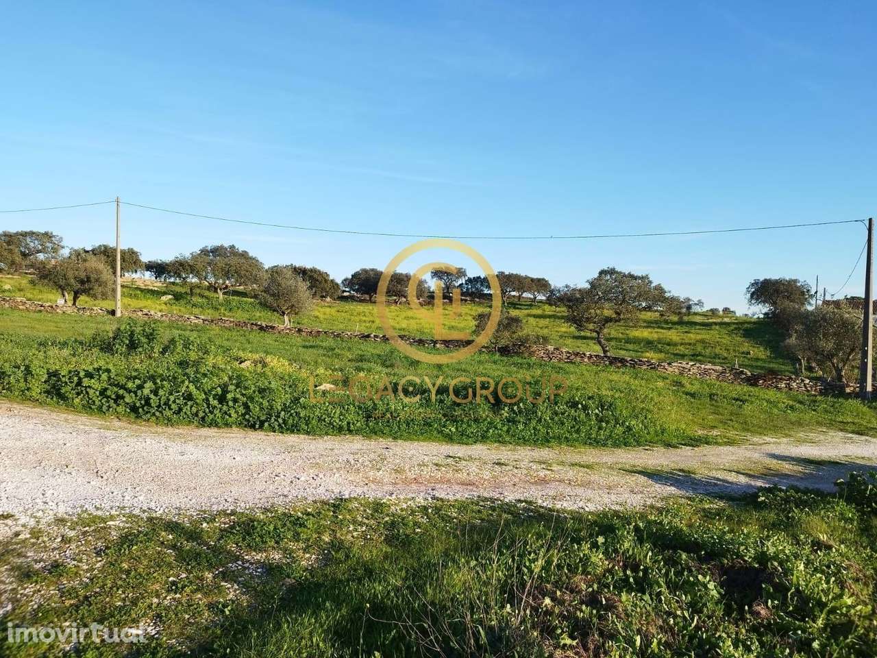 TERRENO COM 13.250M2 EM CABEÇA DE CARNEIRO - Grande imagem: 2/47