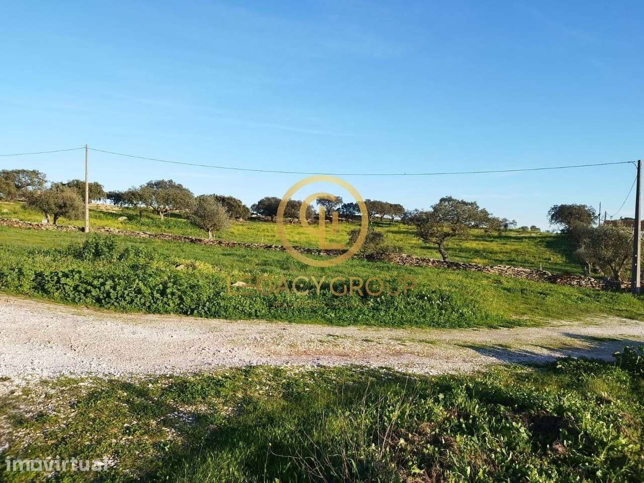 TERRENO COM 13.250M2 EM CABEÇA DE CARNEIRO - Grande imagem: 2/47
