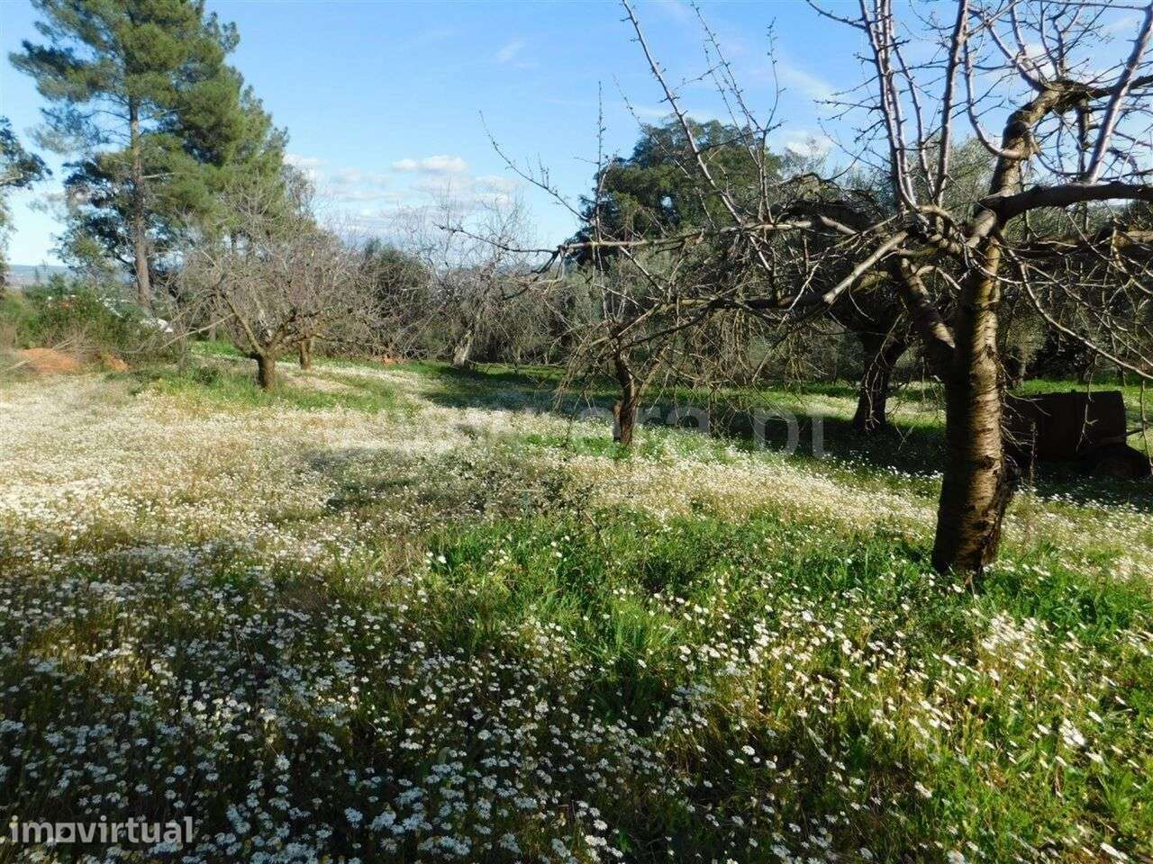 Terreno / Fundão, Telhado - Grande imagem: 5/15