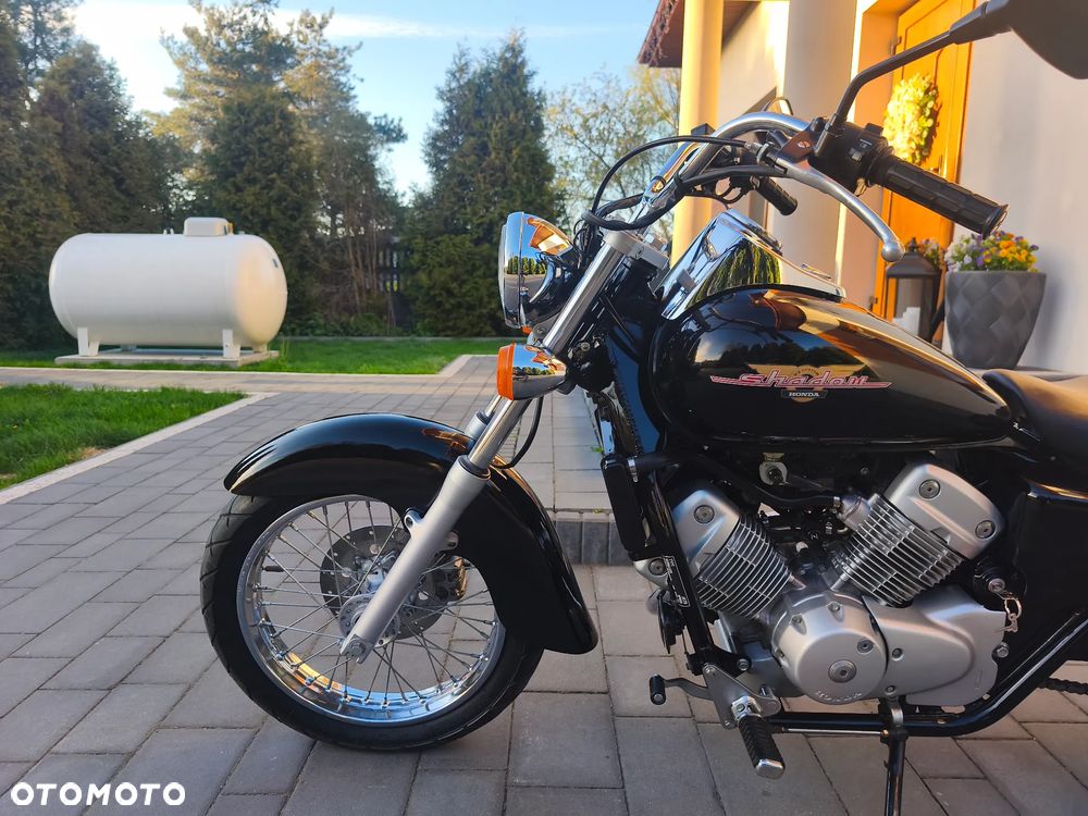 Honda Shadow - 19