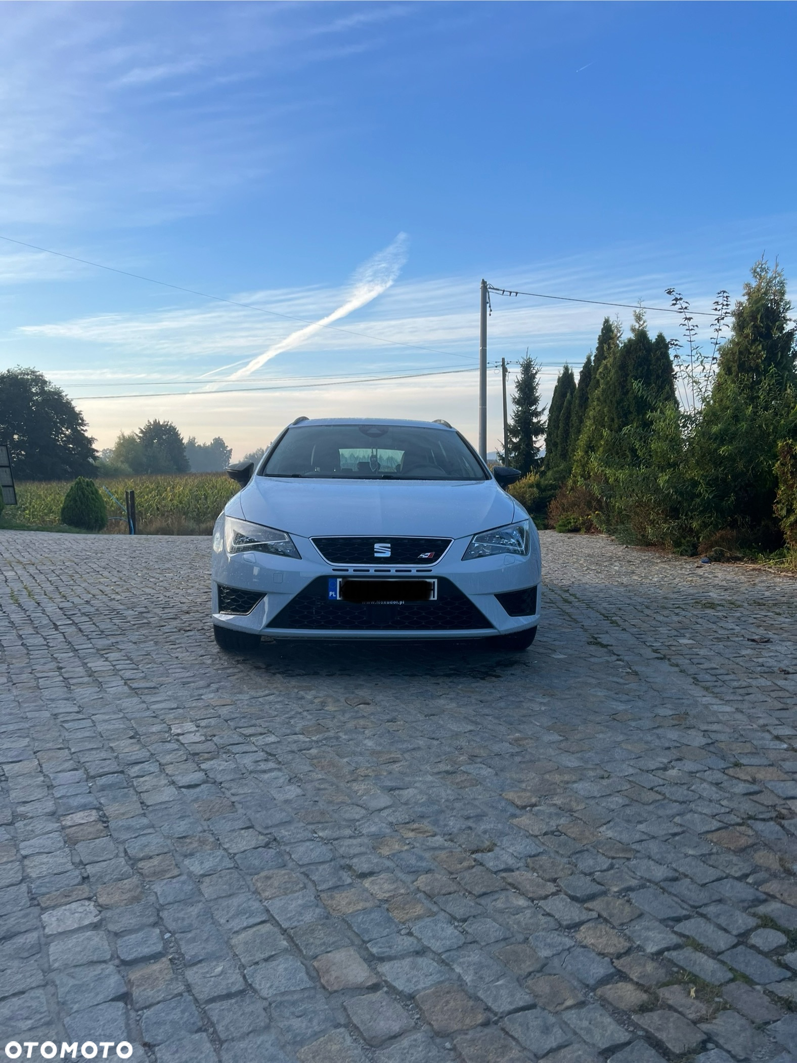 Seat Leon 2.0 TSI Cupra 290 S&S DSG - 13