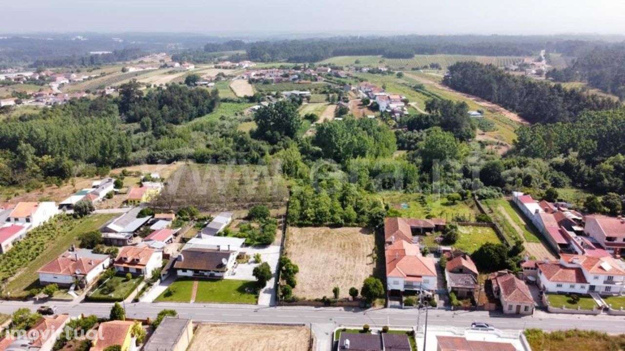 Terreno Amoreira da Gândara, Paredes do Bairro e Ancas | ER - Grande imagem: 4/5